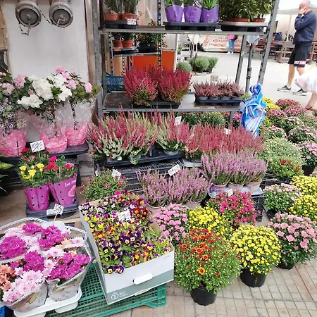 Daire Good Mood & Parking Filibe