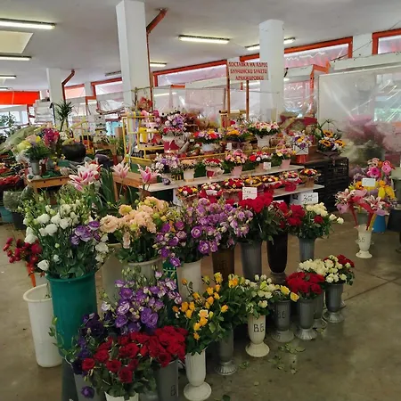 Good Mood & Parking Daire *