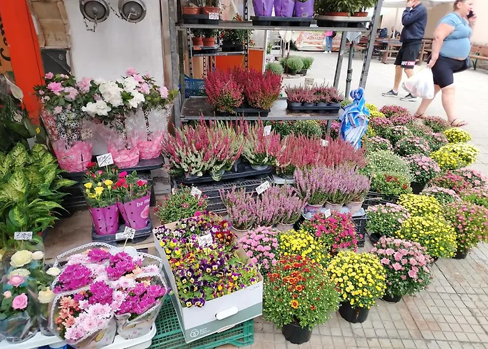 Apartamento Good Mood & Parking Plovdiv