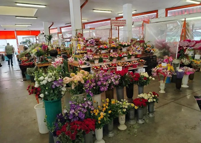 Good Mood & Parking Apartamento *